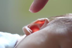 oreille