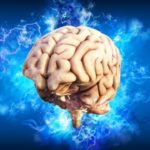 Jouer au poker améliore les compétences cognitives