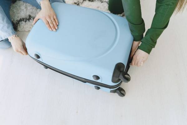 valise
